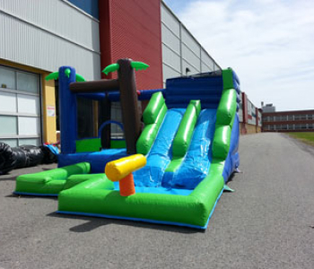 Bouncy House Forest Slide